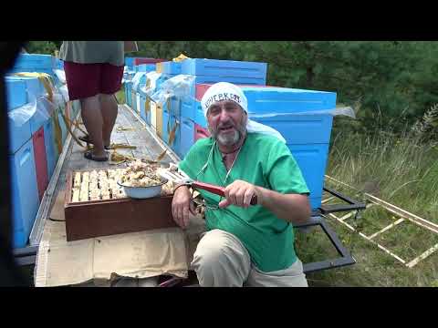 Видео: Кочевка 2023  часть 3