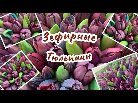 Видео: Как сделать тюльпаны из зефира /тонкости и нюансы зефирной флористики #зефир #flowers #тюльпаны