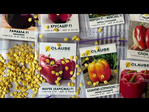 Видео: Лучший способ посева Перца и Баклажанов без пикировки