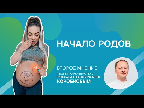 Видео: Начало родов