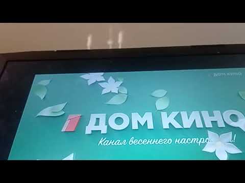 Видео: 8 сентября 2025 г.