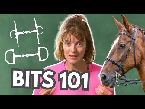 Видео: Как выбрать удила для вашей лошади