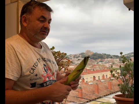 Видео: Как вкусно сварить старую кукурузу