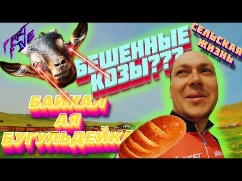 Видео: Байкал 2021. Часть 5. АЯ | КОЗЛЫ | ЕЛАНЦЫ | ЖИЗНЬ В ДЕРЕВНЕ | БУГУЛЬДЕЙКА | МОЛОКО