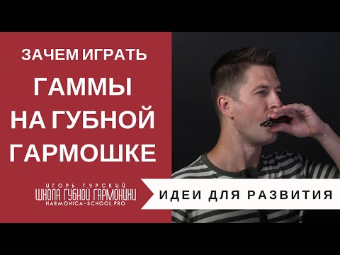 Видео: Зачем разучивать и играть гаммы на губной гармошке