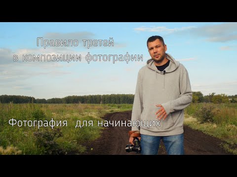 Видео: Правило третей в композиции фотографии для начинающих.