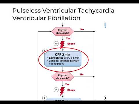 Видео: Остановка сердца, часть 1, шоковая терапия - ACLS 2020