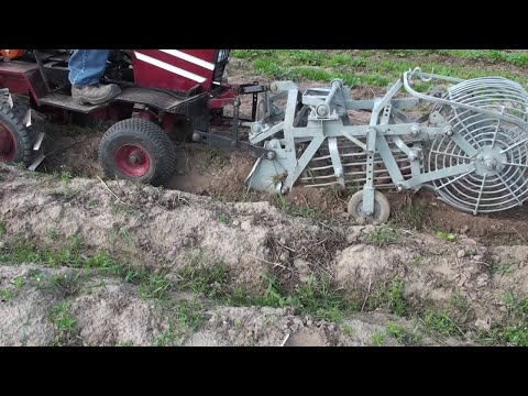 Видео: Копка картошки 2019! (на большом поле!)digging potatoes 2019! (on the Big Field!)