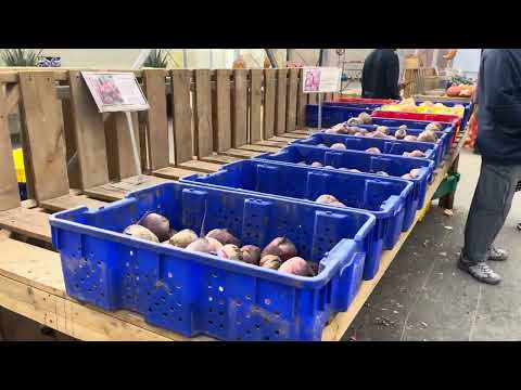 Видео: Saskatoon Farm Alberta ( Калгарі- Саскатун Ферма) 