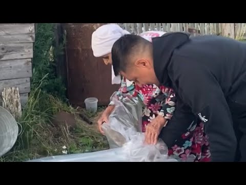 Видео: Хиффә әбинең парнигын по ГОСТУ яптык😅
