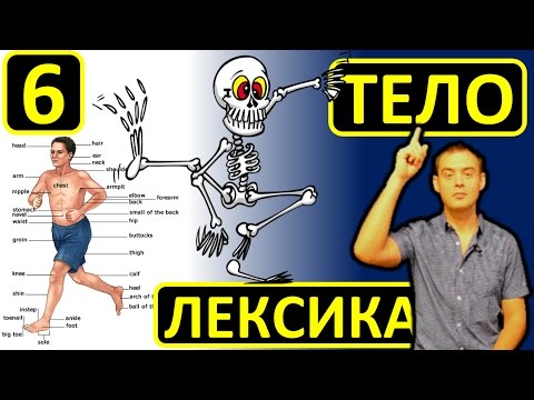 Видео: 6. Английский (лексика): BODY / ЧАСТИ ТЕЛА (Max Heart)
