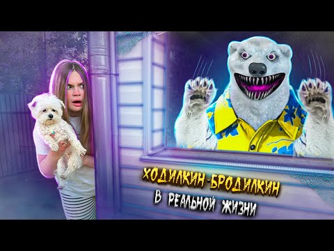 Видео: ХОДИЛКИН-БРОДИЛКИН В РЕАЛЬНОЙ ЖИЗНИ | НА НАС НАПАЛ МЕДВЕДЬ | КОШАЧЬЯ ИСТОРИЯ УЖАСОВ