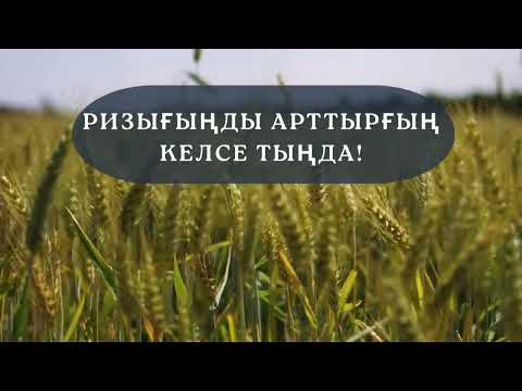 Видео: Ризығыңды арттырғың келсе тыңда! Қазақша аудиокітаптар