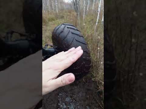 Видео: Испытываем  болотоход полнопривод на болоте #болотоход #бездорожье 