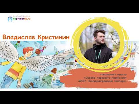 Видео: Владислав Кристинин, специалист отдела «Садово-паркового хозяйства» МАУК «Калининградский зоопарк»