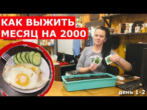 Видео: ВЫЖИВАНИЕ! 2000 РУБЛЕЙ на МЕСЯЦ !!! (день 1-2)