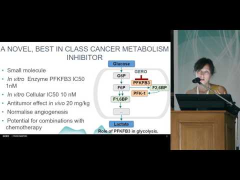 Видео: Представление концепции исследования: Т.В. Еремеева