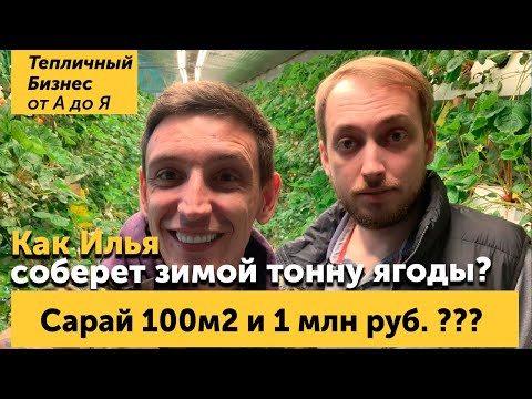 Видео: Сарай который приносит миллион? Илья Патиев и его секретная лаборатория.