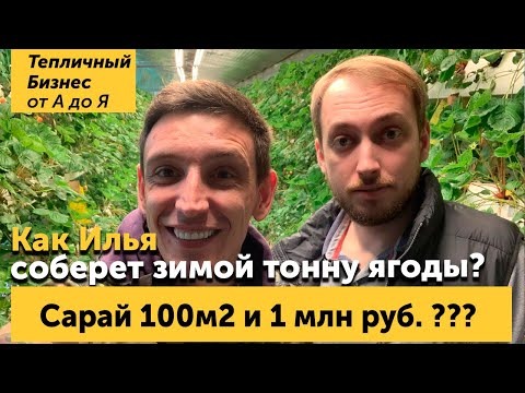 Видео: Сарай который приносит миллион? Илья Патиев и его секретная лаборатория.