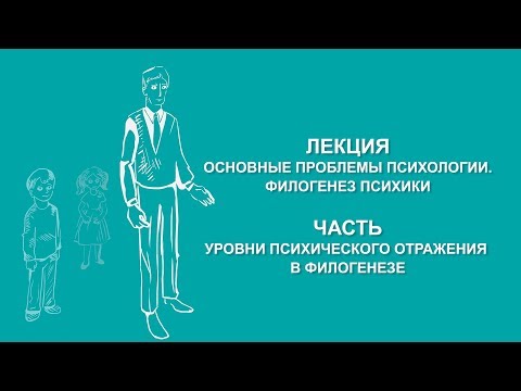 Видео: Ольга Ильина: Уровни психического отражения в филогенезе | Вилла Папирусов