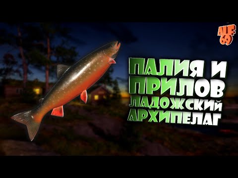 Видео: ЛОВИМ ТРОФЫ, ФАРМИМ, ПРОКАЧИВАЕМСЯ, ОБЩАЕМСЯ! | #SHORTS СТРИМ РУССКАЯ РЫБАЛКА 4