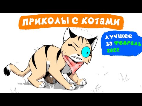 Видео: Приколы с котами. ЛУЧШЕЕ ЗА ФЕВРАЛЬ 2022 | Мемозг
