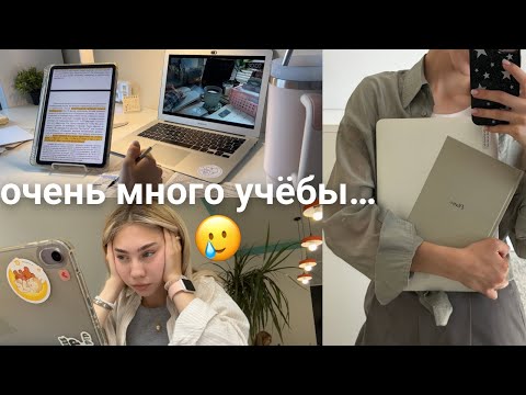 Видео: жизнь во время сессии в меде