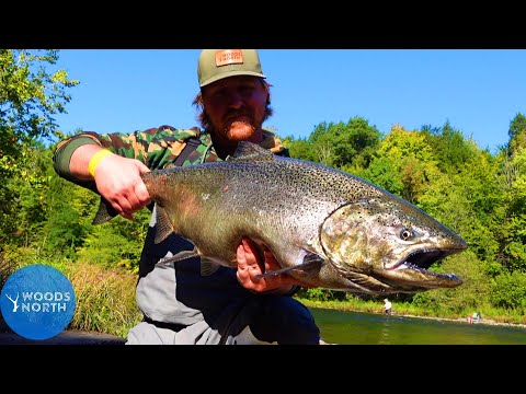 Видео: ОТМЕЛЬ И БОЛЬШИЕ НАДЕЖДЫ: Ранний сезон ловли лосося в Пуласки, штат Нью-Йорк! (сентябрь 2025 г.)