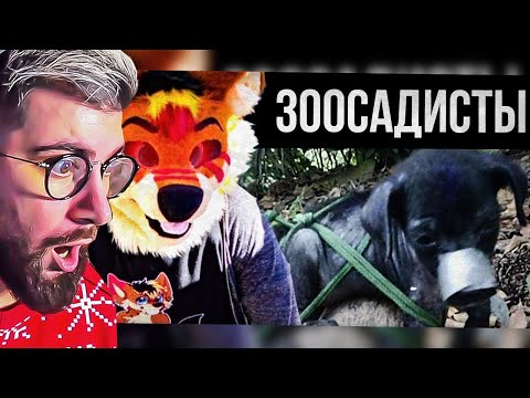 Видео: ФУРРИ-САДИСТЫ (Kero the Wolf/Zoosadist Evidence) | РЕАКЦИЯ на Лунные Янки