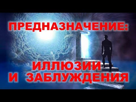Видео: ПРЕДНАЗНАЧЕНИЕ: иллюзии и заблуждения