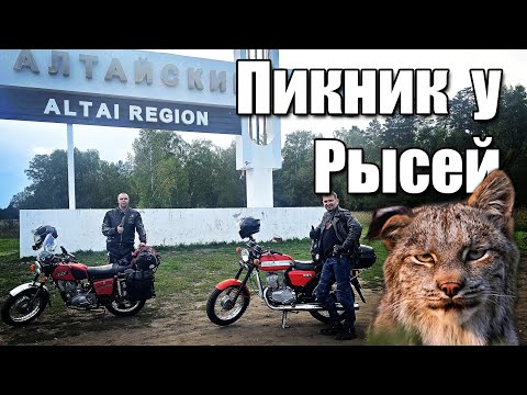 Видео: Пикник у Рысей