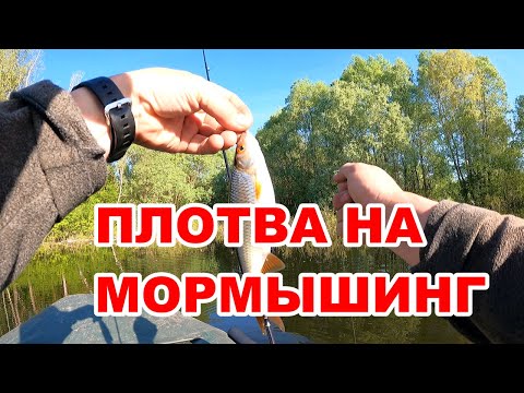 Видео: ПЛОТВА на МОРМЫШИНГ!