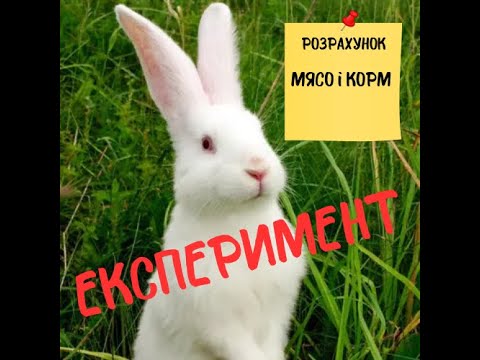 Видео: Експеримент