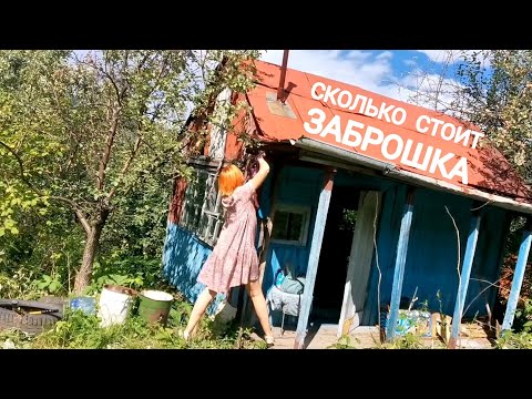 Видео: КУПИЛА ЗАБРОШЕННУЮ ДАЧУ В СИБИРИ НА ГОРЕ | ЦЕНА УЧАСТКА ОФОРМЛЕНИЕ ПРИВАТИЗАЦИИ Хакасия Черемушки