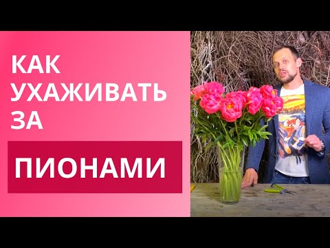 Видео: Как ухаживать за пионами? | Уход за срезанными цветами. Советы флориста. Все о флористике.