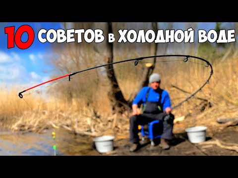 Видео: 10 СОВЕТОВ для РЫБАЛКИ на ФИДЕР в ХОЛОДНОЙ ВОДЕ ⁑ ЛОВЛЯ на ФИДЕР ПОЗДНЕЙ ОСЕНЬЮ