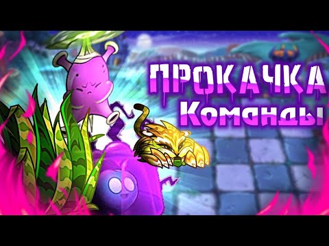 Видео: Новая рубрика! Команду на прокачку. Выпуск первый: Муракадамский Тигр.