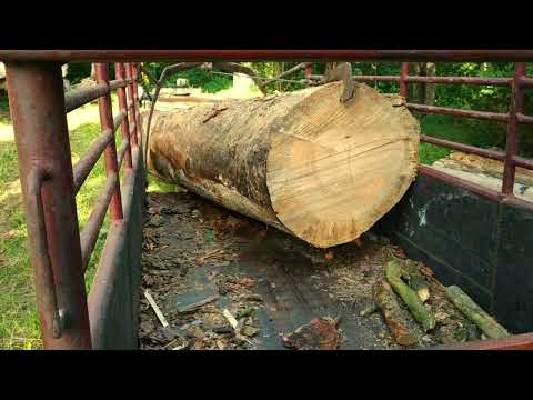 Видео: проще простого выгрузить большое бревно таким образом