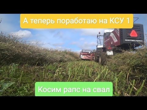 Видео: А теперь поработаю на КСУ 1. Косим рапс на свал.