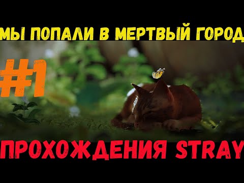 Видео: Неудачный прыжок и попадания в Мертвый город в Stray