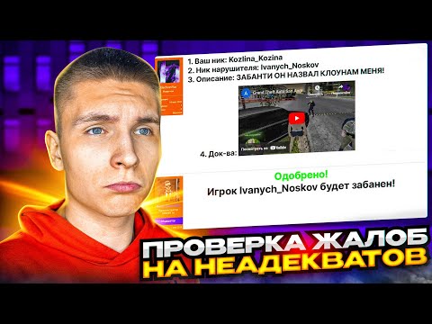 Видео: ПРОВЕРЯЮ ЖАЛОБЫ на ТОКСИКОВ (Radmir / Hassle Online)