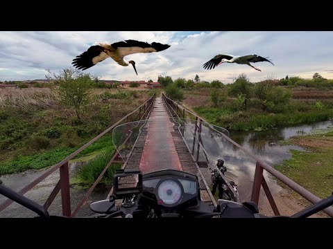 Видео: Щъркели през октомври при Семчо Миронов. (епизод 200)