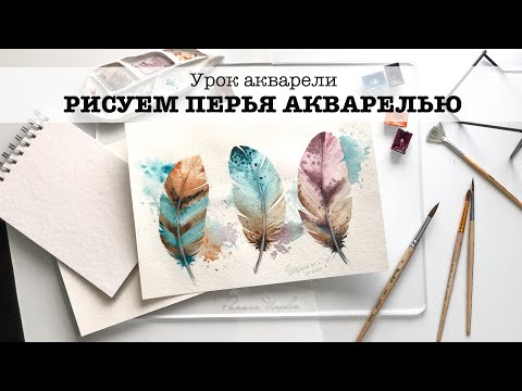 Видео: Рисуем Перо акварелью. Бесплатный урок.