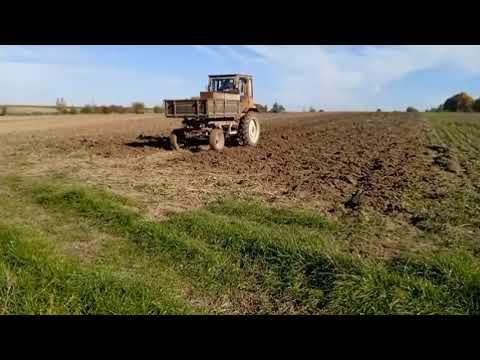 Видео: Трохи намучився,але здисковану гірчицю таки виорав!