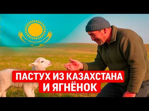 Видео: 🐑 «Все проспал!» — Пастух из Казахстана растопил сердца людей!