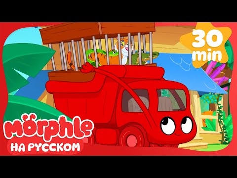 Видео: Дом страшных животных | 30 минут | Мой волшебный питомец Морфл — Мультики для детей