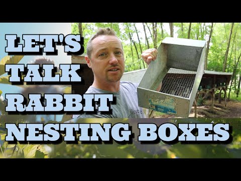 Видео: Гнездовья для кроликов/Традиционные и нетрадиционные