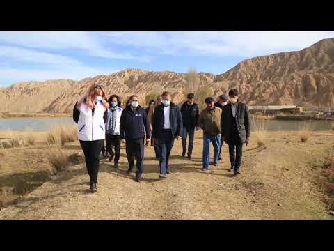 Видео: Кыргыз Республикасынын Айыл чарба, тамак-аш өнөр жайы жана мелиорация министри Т.М.Токтогазиевдин