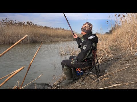 Видео: РЫБАЛКА НА ПОПЛАВОК, ЖОР КАРАСЯ В КАНАЛЕ, ВЕСНА 2023