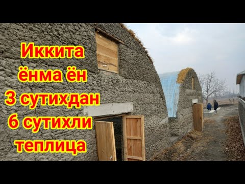 Видео: 14 01 2022  Иккита ёнма ён курилган 3 сутихдан 6 сутихли лимон экилган теплица